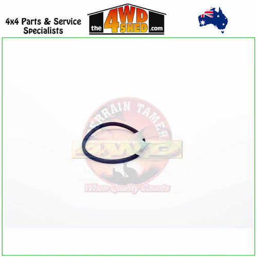 Flashlube 150 Micron Strainer Screen Filter
