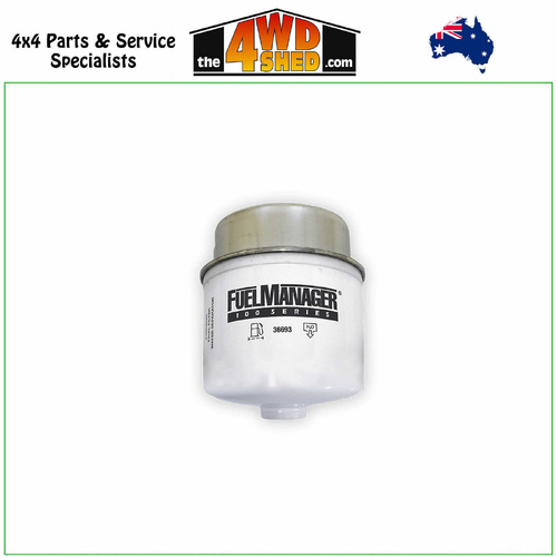 Fuel Manager Post-Filter Replacement Element 2 Micron (36693)